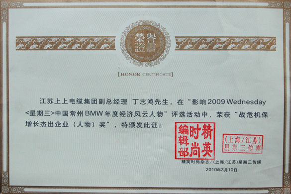 丁志鴻被評(píng)為“戰(zhàn)危機(jī)保增長杰出人物”