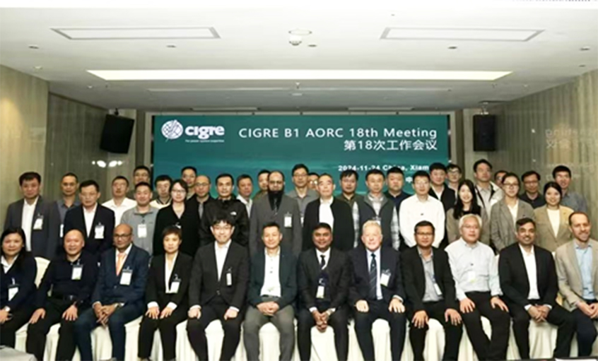 上上電纜受邀出席CIGRE絕緣電纜專委會(huì)亞太區(qū)第18次年會(huì)并做專題發(fā)言